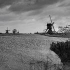 Kinderdijk