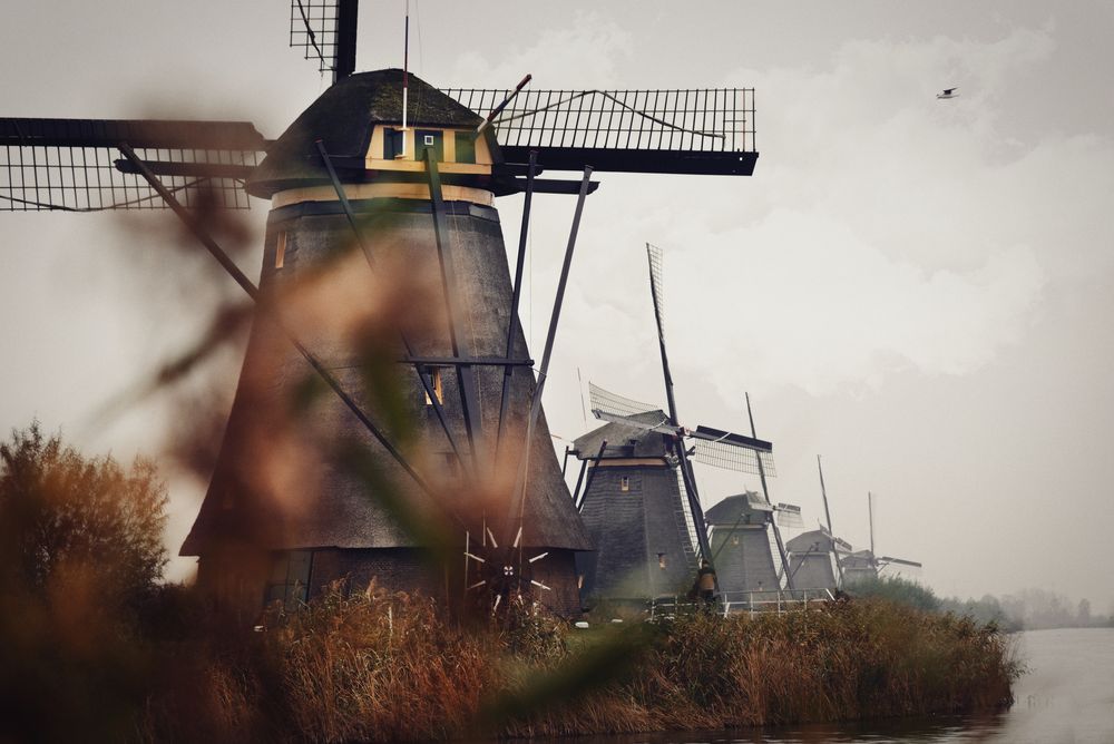 Kinderdijk