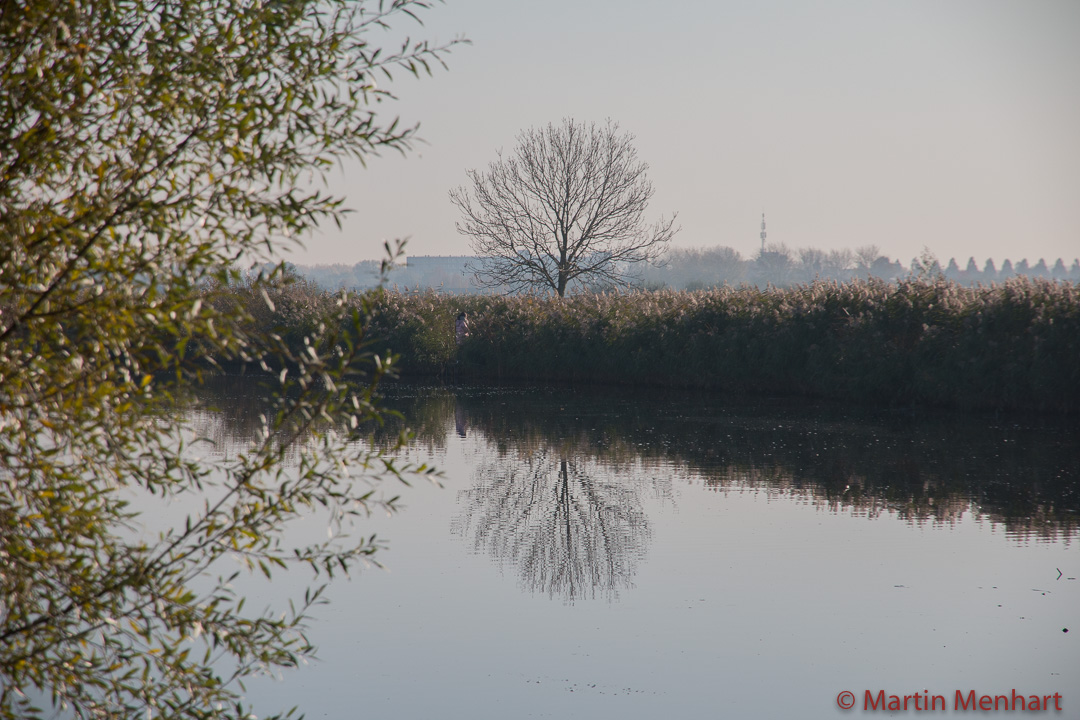 Kinderdijk