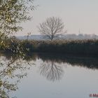 Kinderdijk