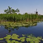 Kinderdijk