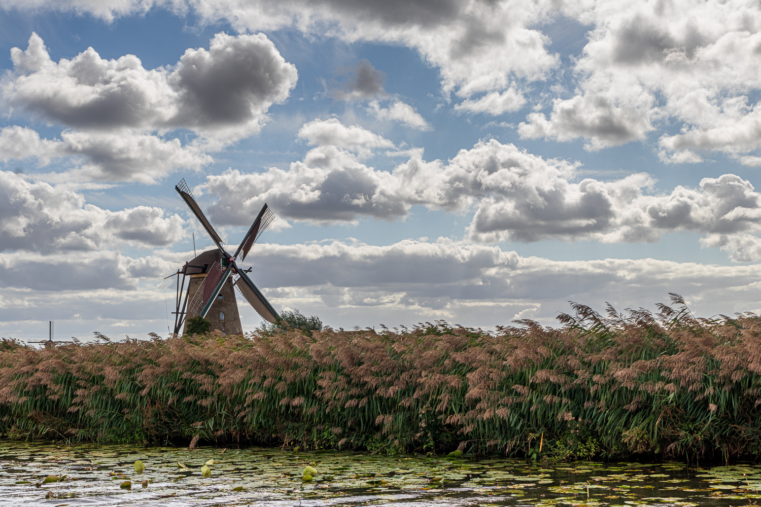 Kinderdijk