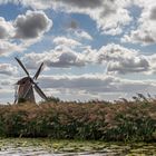 Kinderdijk