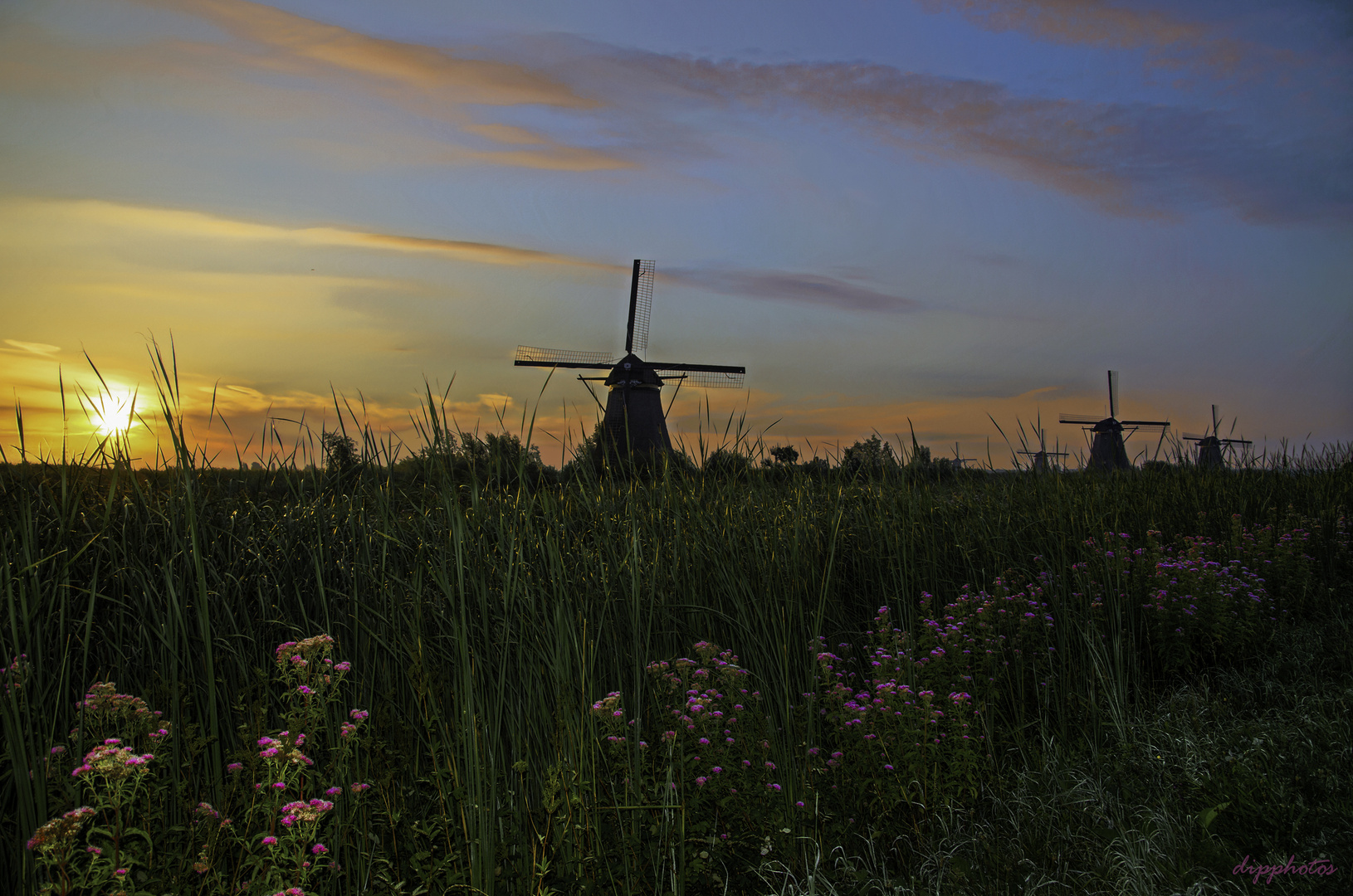 Kinderdijk