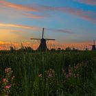 Kinderdijk