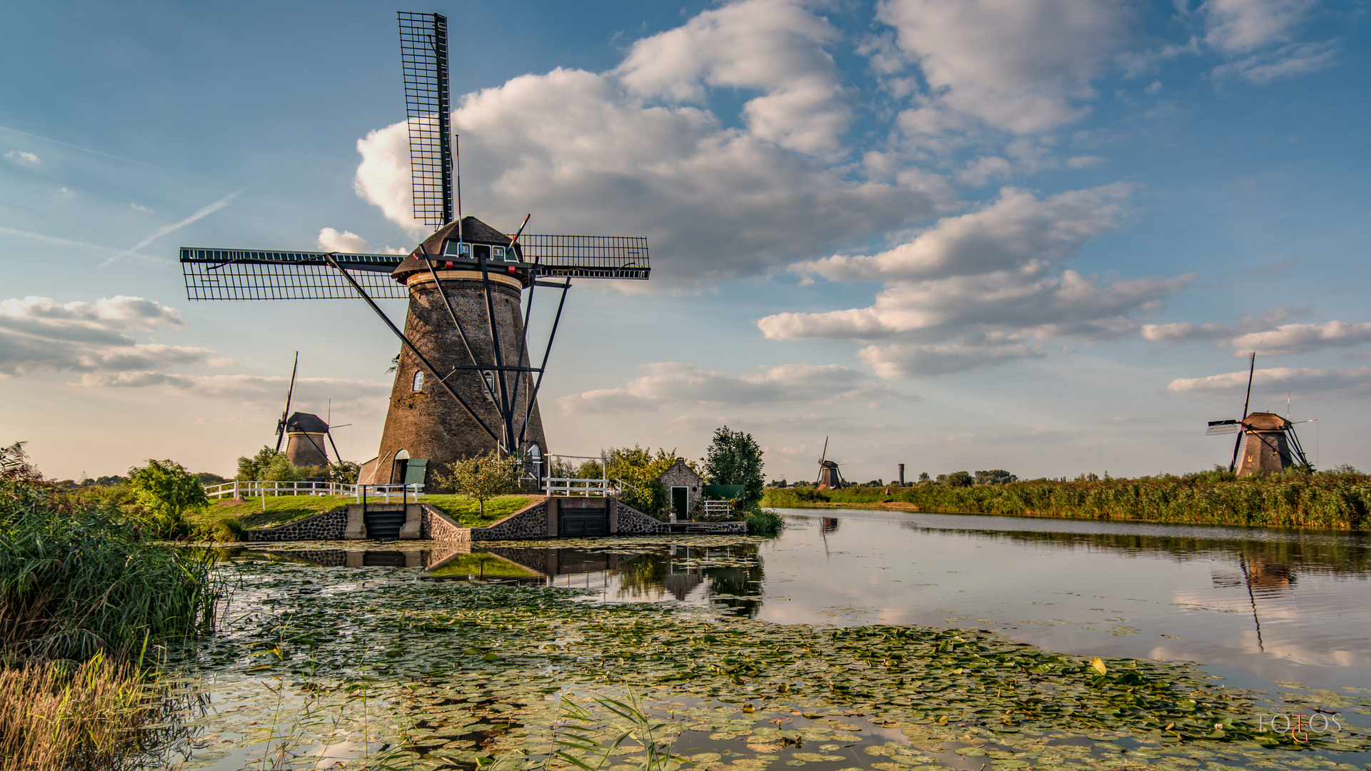 Kinderdijk