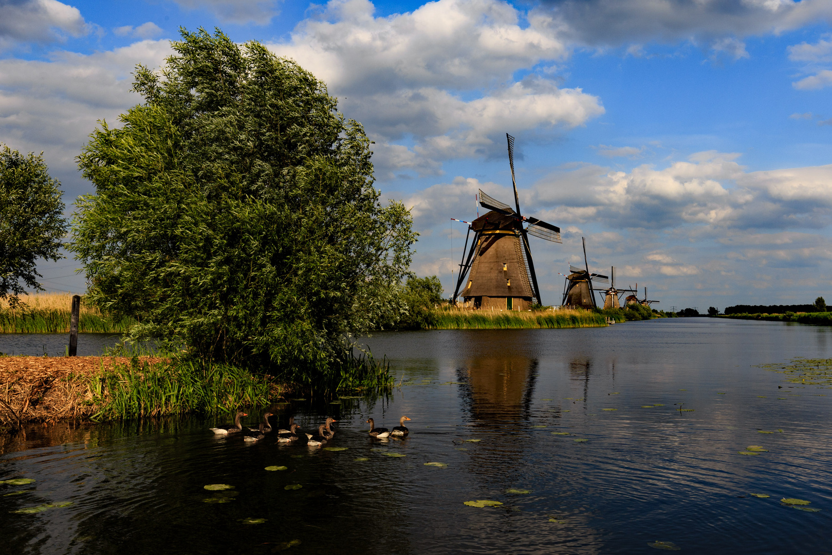 Kinderdijk