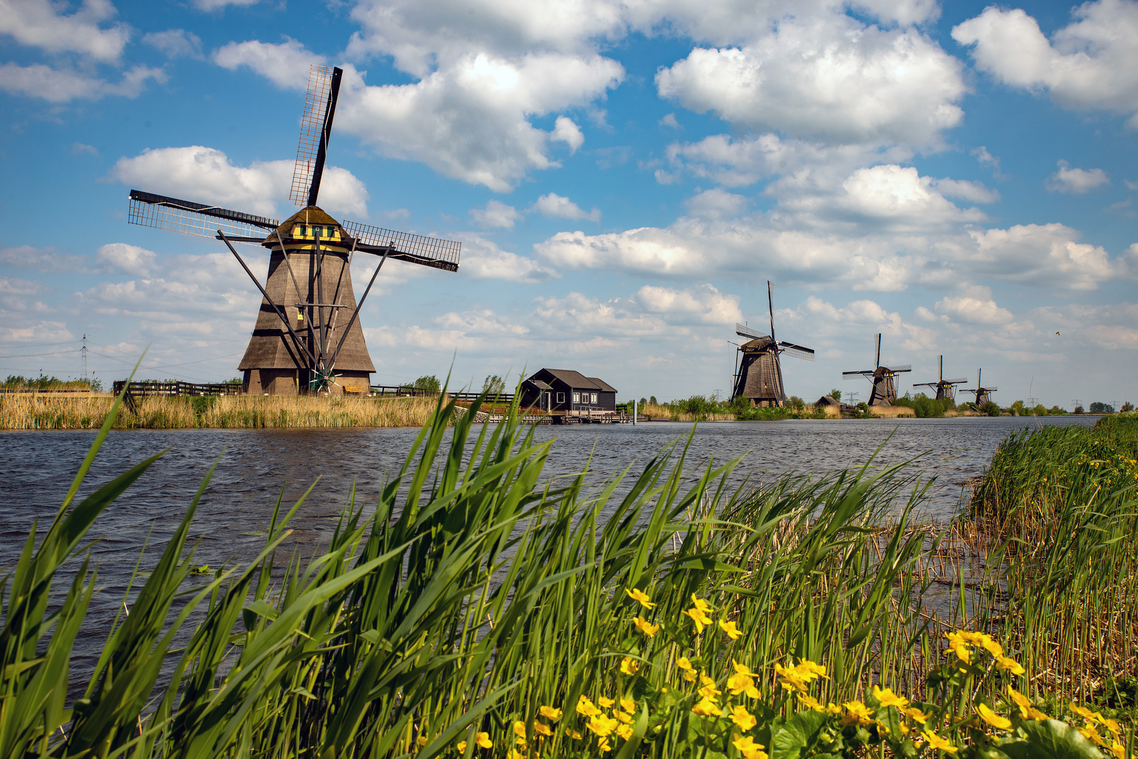 Kinderdijk