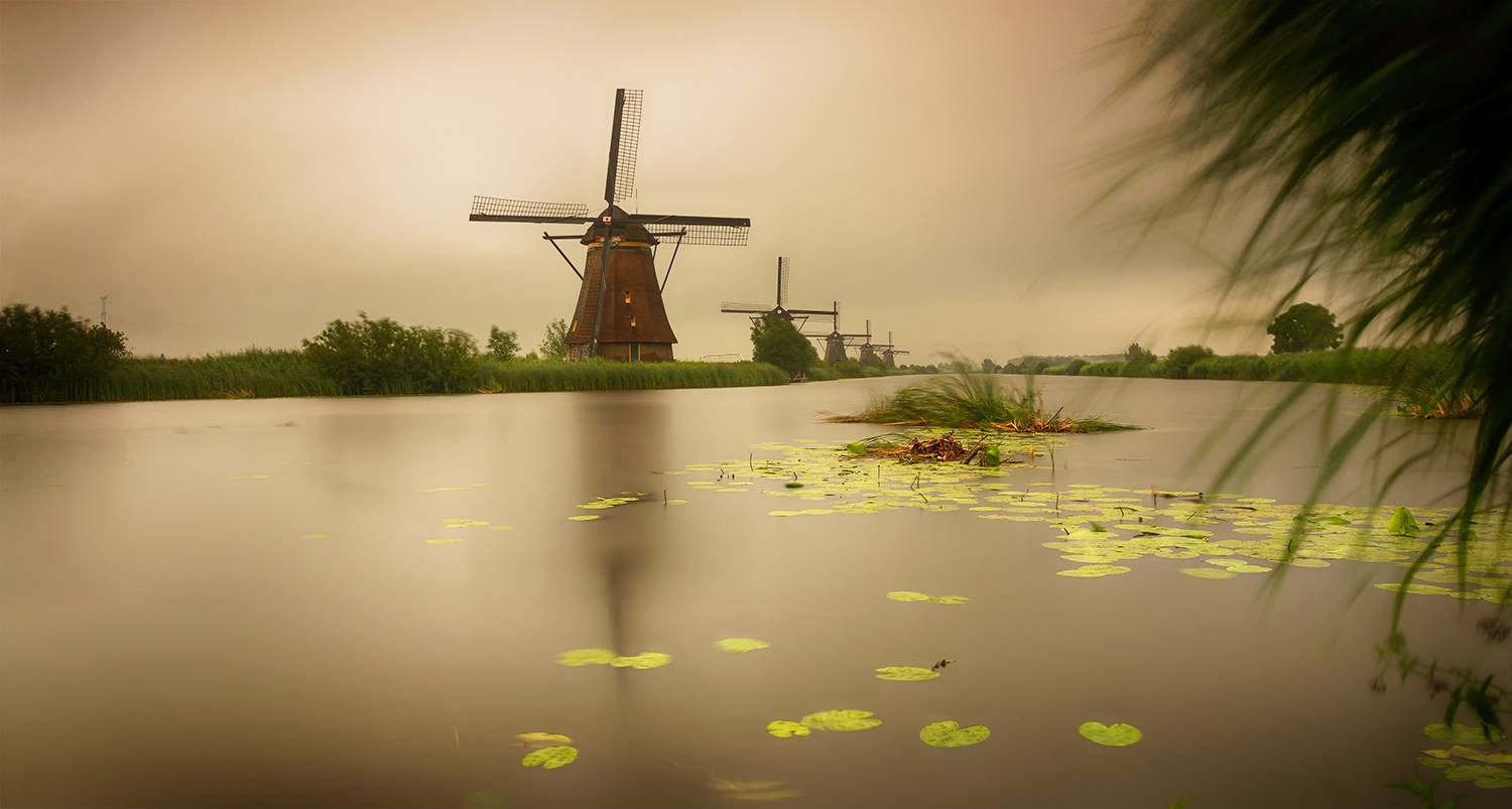 Kinderdijk