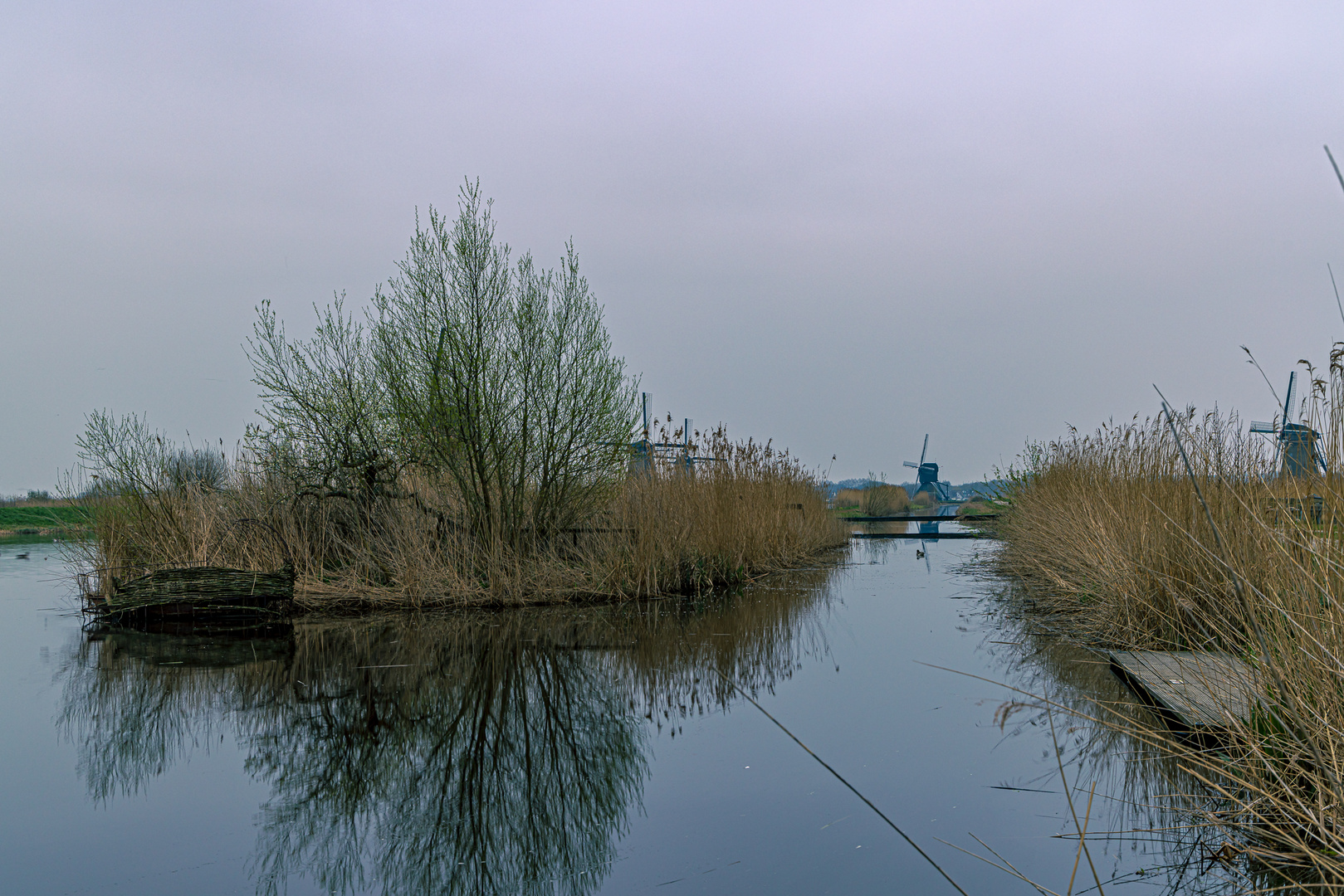 Kinderdijk-Die Flusslandschaft