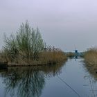 Kinderdijk-Die Flusslandschaft