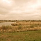 Kinderdijk