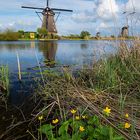 Kinderdijk