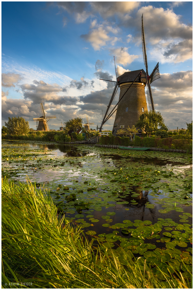 Kinderdijk