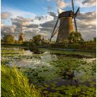 Kinderdijk