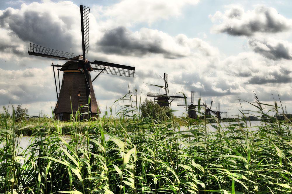 Kinderdijk