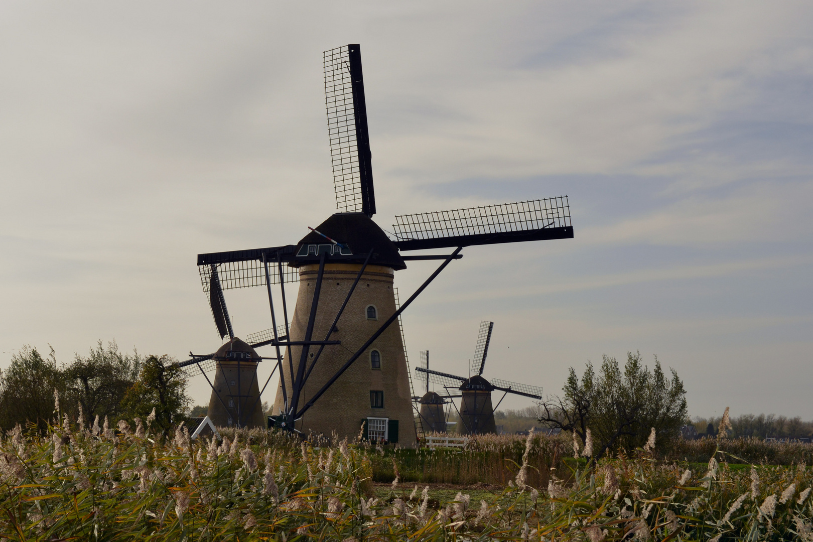 Kinderdijk