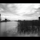 --- kinderdijk II ---