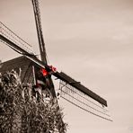 Kinderdijk III