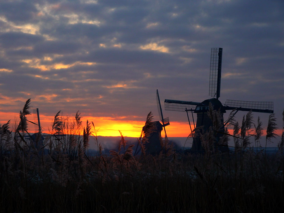 Kinderdijk im Januar