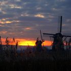 Kinderdijk im Januar