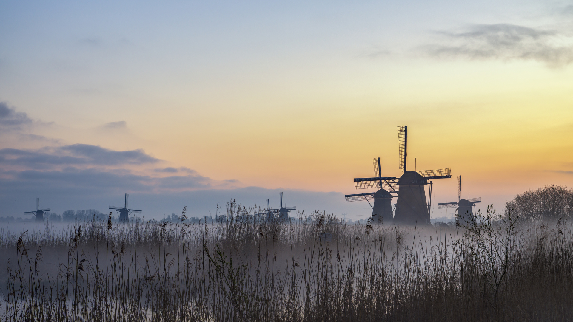 Kinderdijk im Nebel 