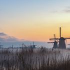 Kinderdijk im Nebel 