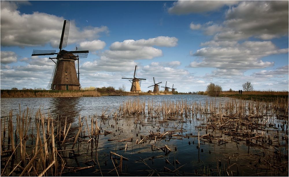 Kinderdijk Impression