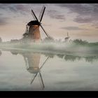 Kinderdijk misty mood