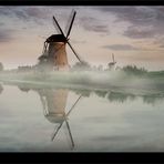 Kinderdijk misty mood