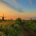 Kinderdijk -  Morgenstimmung.