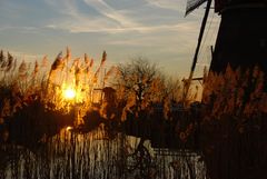 Kinderdijk - Nederwaard-