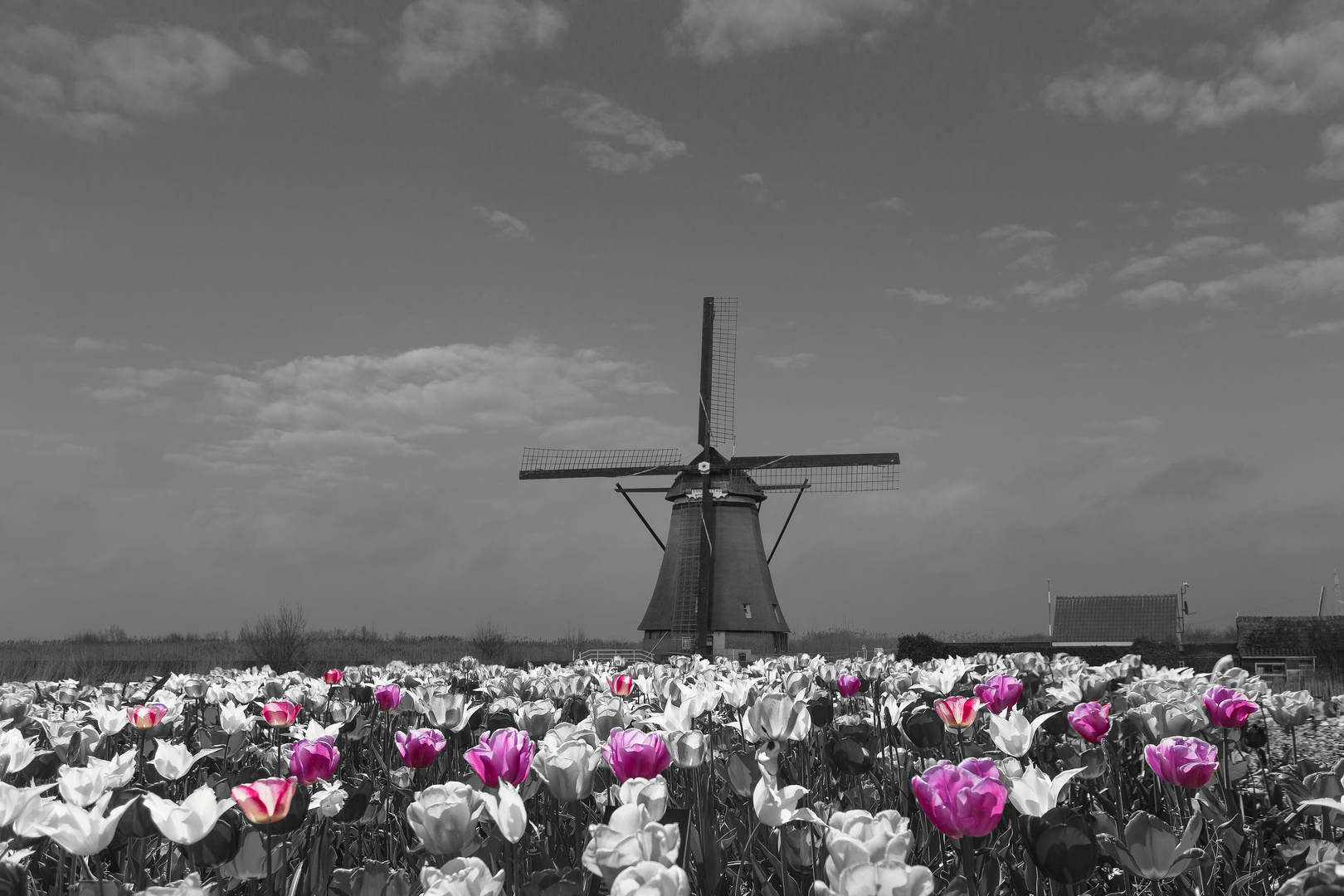 Kinderdijk, NL