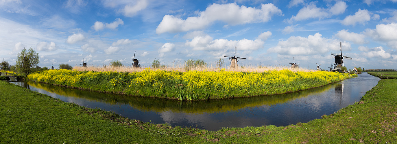 Kinderdijk-Panorama