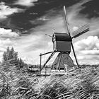  Kinderdijk - Windmühle