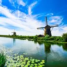 Kinderdijk Windmühlen 