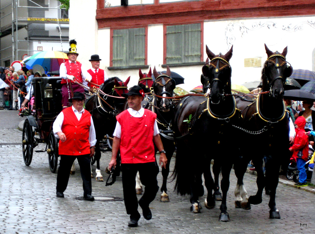 Kinderfest Wangen im Allgäu -2- :Sechserzug!