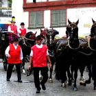 Kinderfest Wangen im Allgäu -2- :Sechserzug!