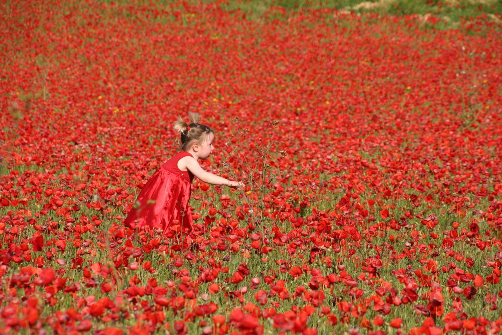 Kinderfreude über ein rotes Mohnfeld by Jörg Sandhorst 