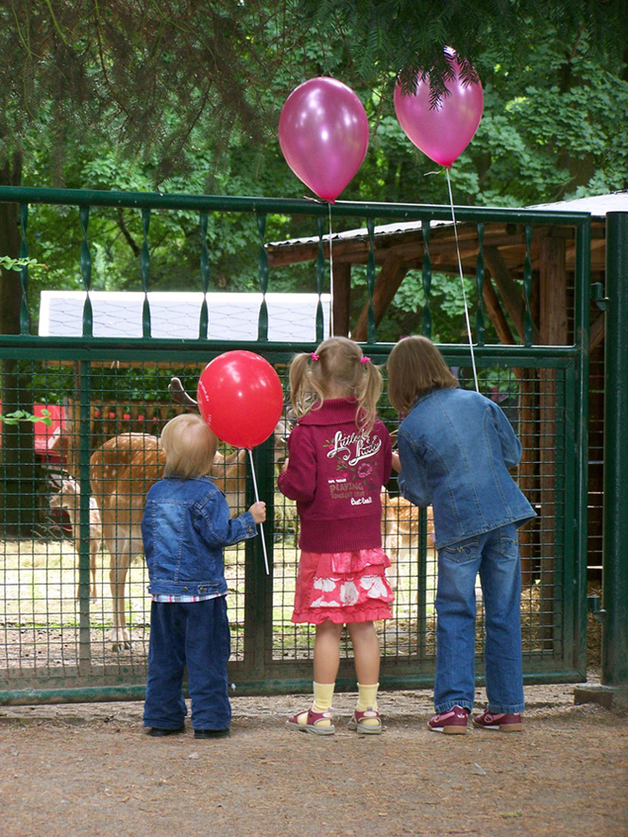 Kinderfreuden