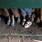 Kindergarten/Grundschul Besuch in der Maasai Mara