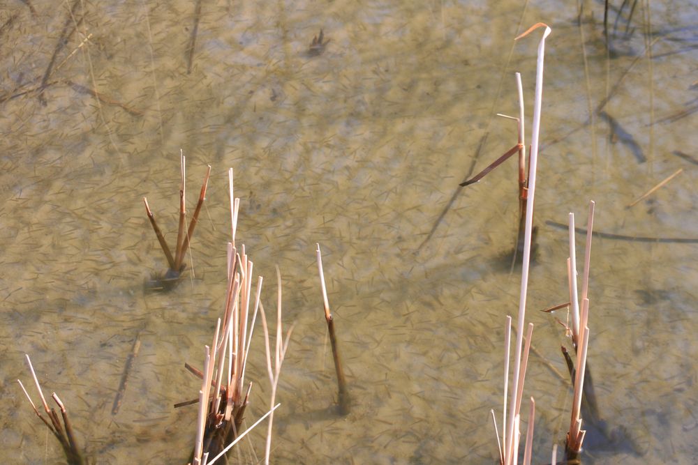 (Kindergartenidylle) Beim Sonnenbad