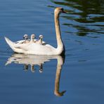 Kinderglück im Wassertaxi