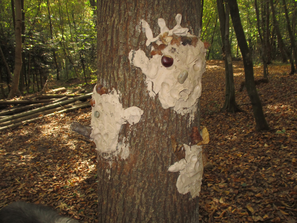  Kinderkunst im Wald 