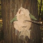 Kinderkunst im Wald