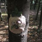  Kinderkunst im Wald