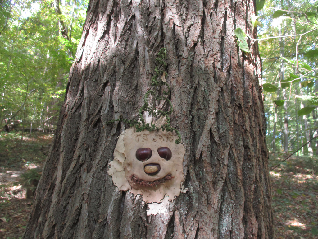 Kinderkunst im Wald