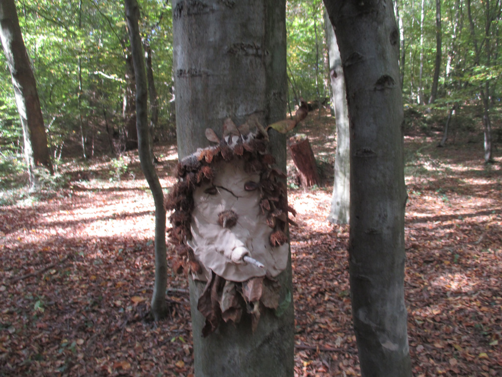  Kinderkunst im Wald 