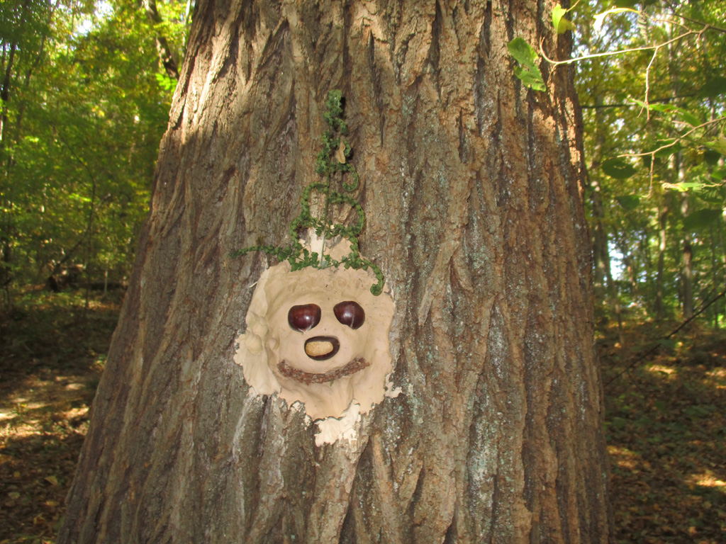  Kinderkunst im Wald