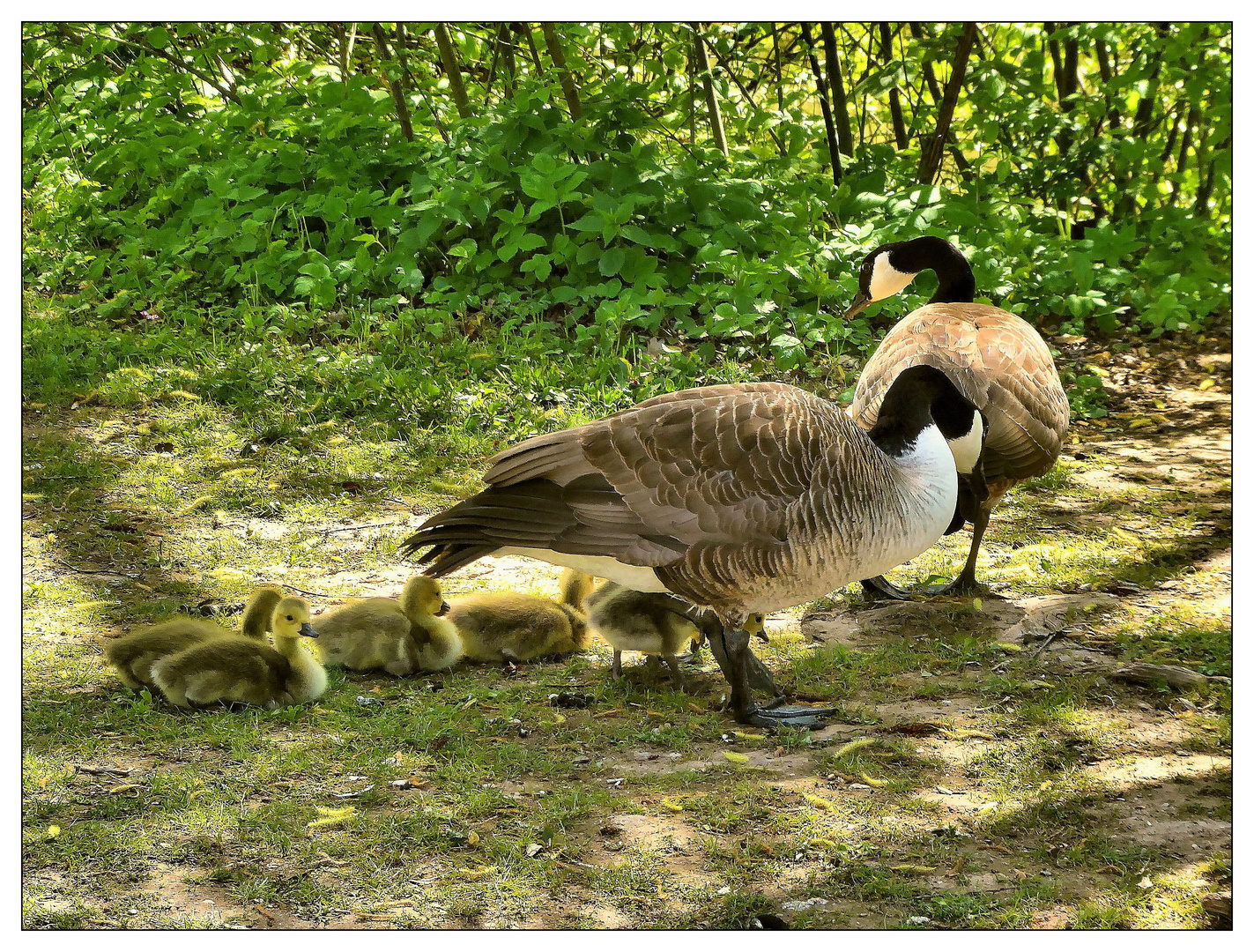 Kinderreiche Familie